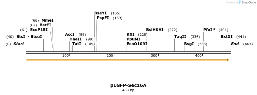 118086_map