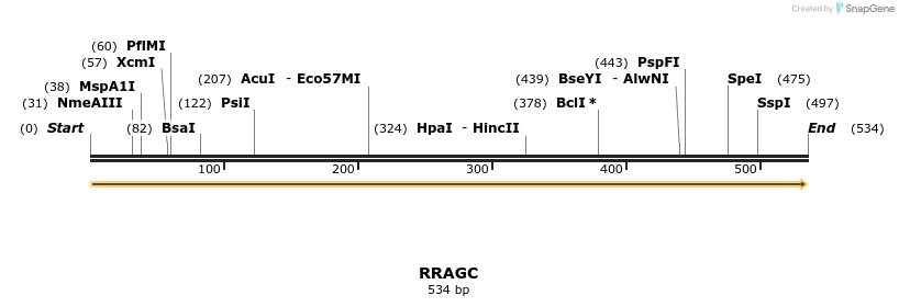 11809_map