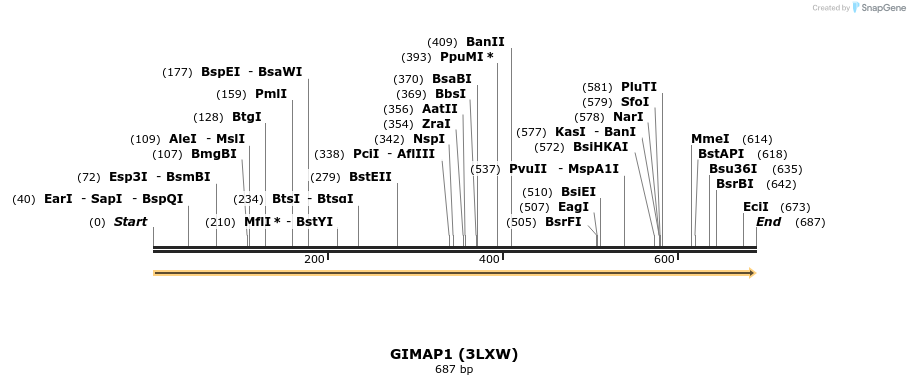 11810_map