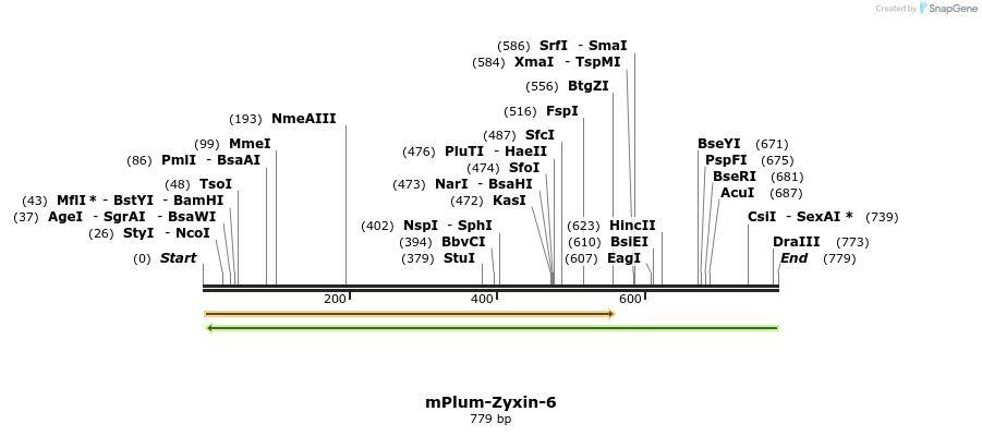 118101_map