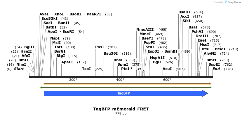 118102_map