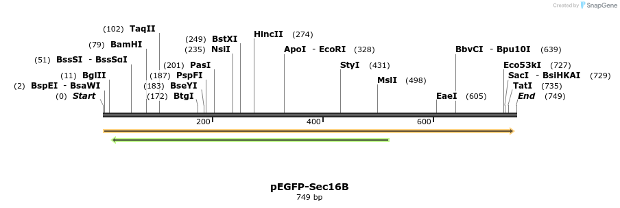 118106_map