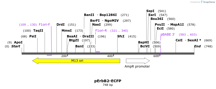 118109_map