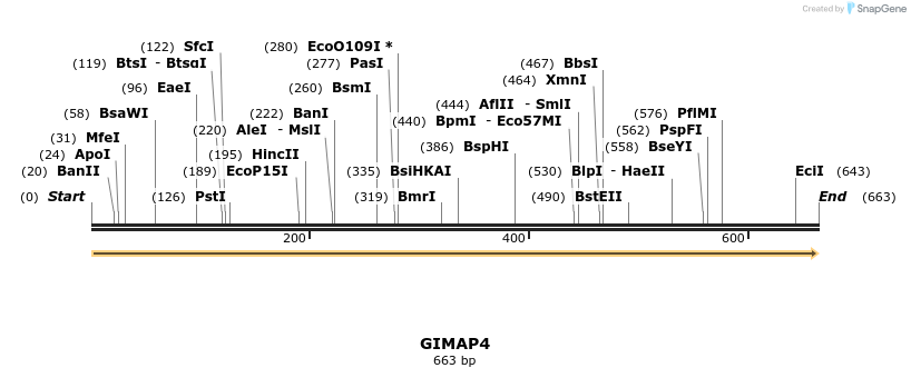 11811_map