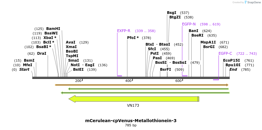 118110_map
