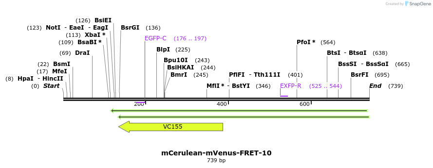 118111_map