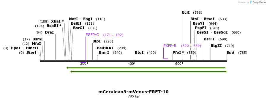 118114_map