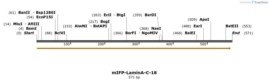 118115_map