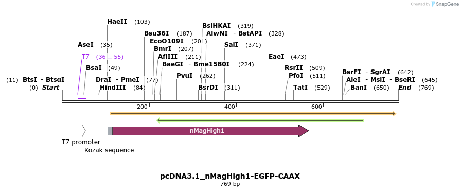 118119_map