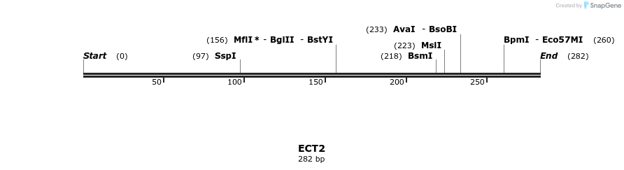 11812_map