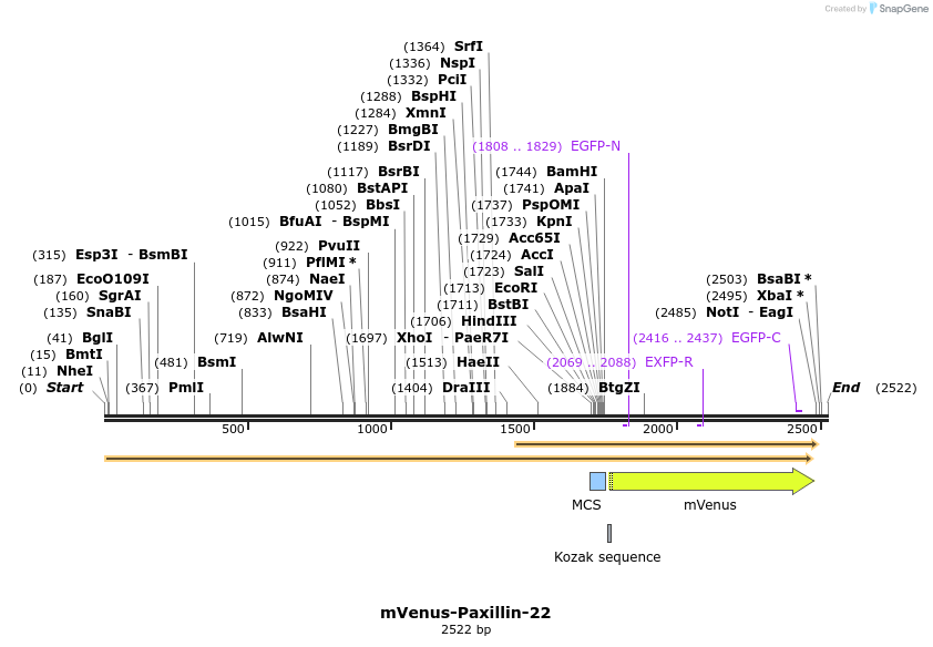 118127_map