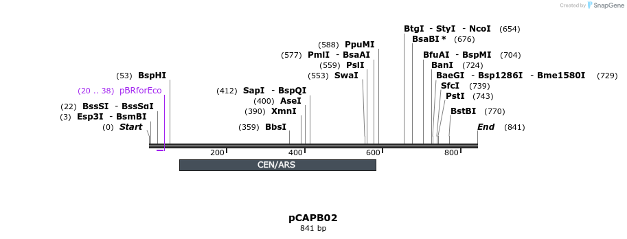 118129_map