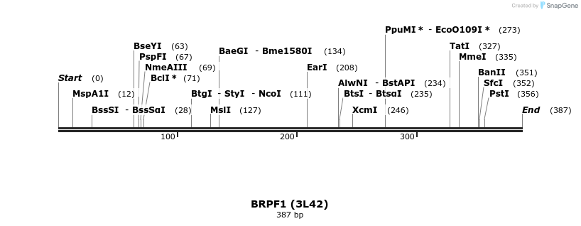 11813_map