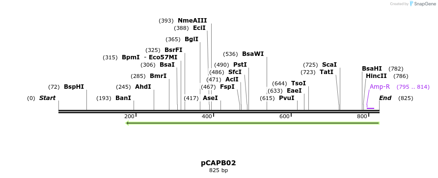 118132_map