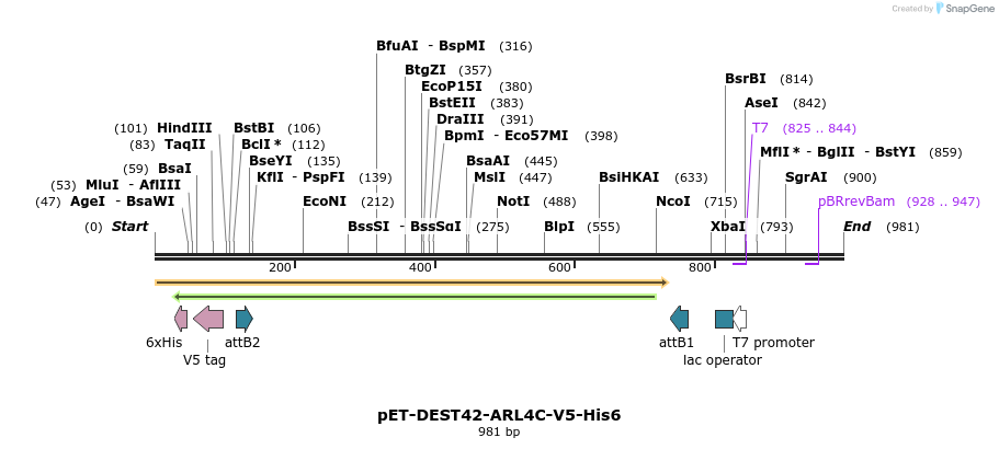118135_map