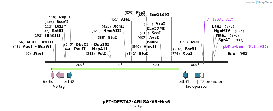 118136_map