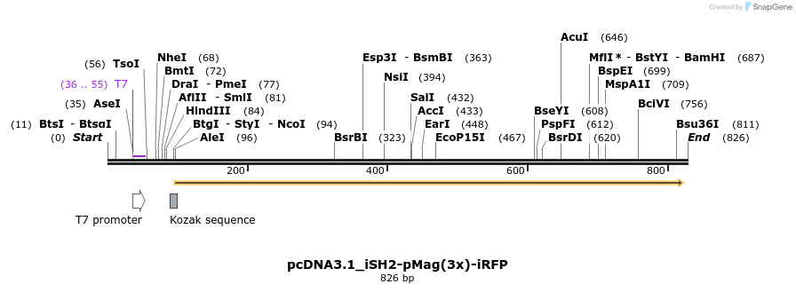 118137_map
