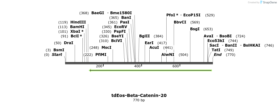 118141_map