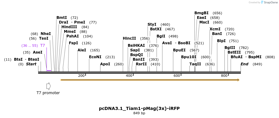 118144_map