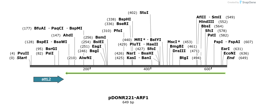118152_map