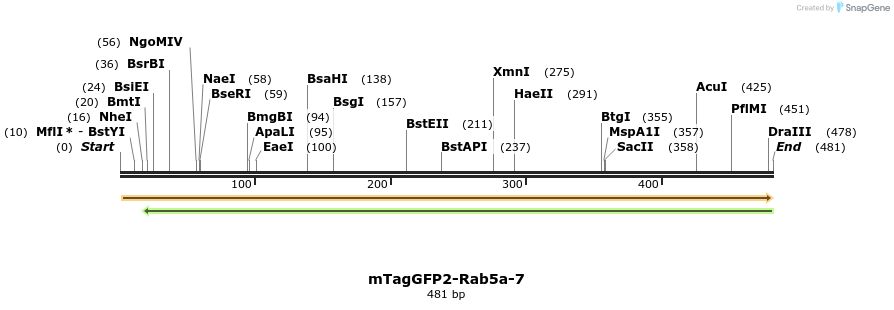 118154_map