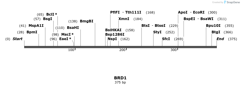 11816_map