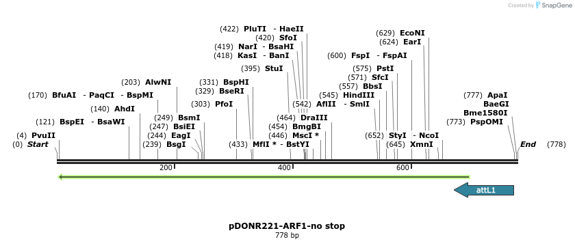 118160_map