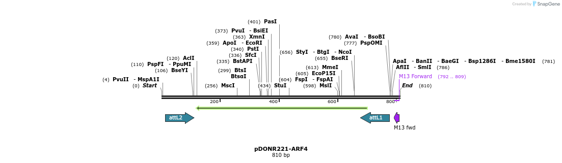 118164_map