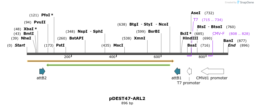 118171_map