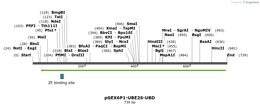118173_map