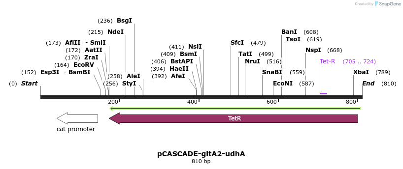 118175_map