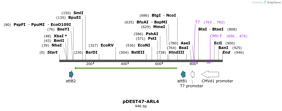 118176_map