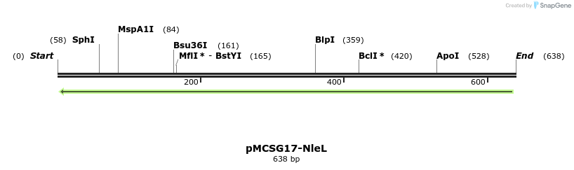 118178_map