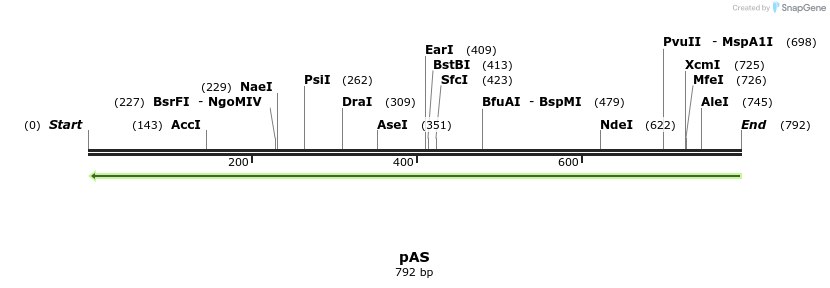 118190_map
