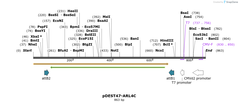 118192_map