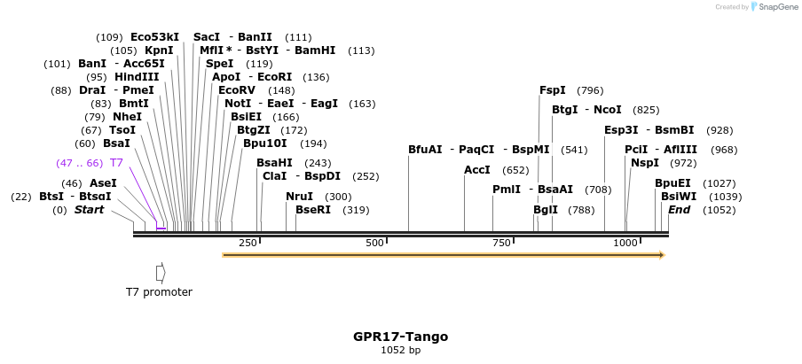 118193_map