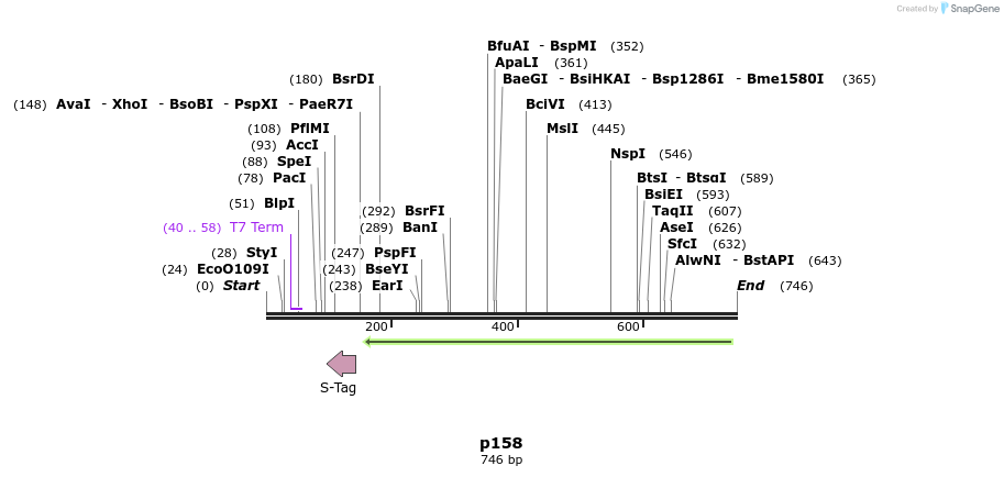 118198_map