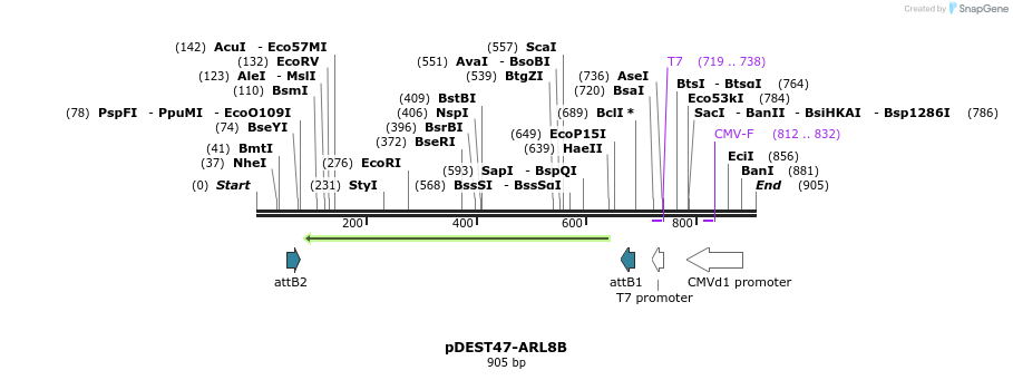 118200_map