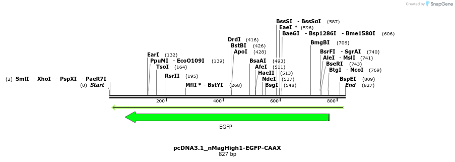 118202_map