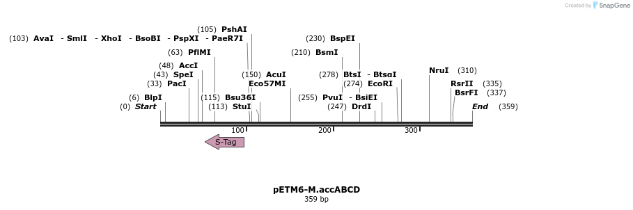 118204_map