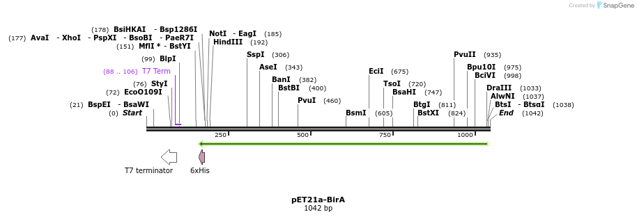 118207_map