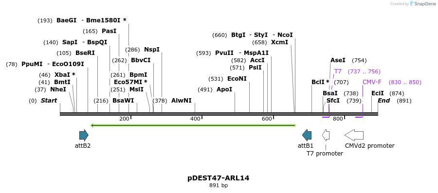 118208_map