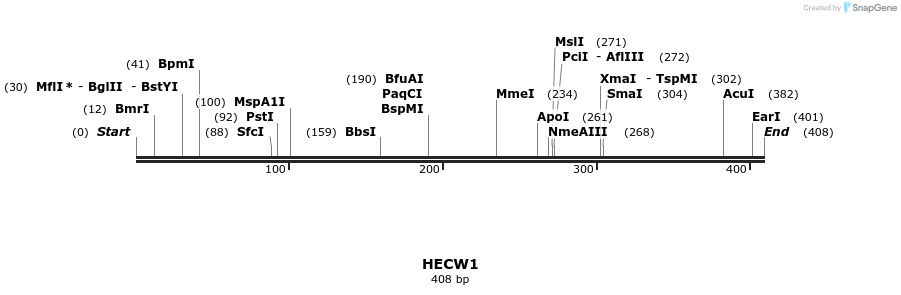 11821_map