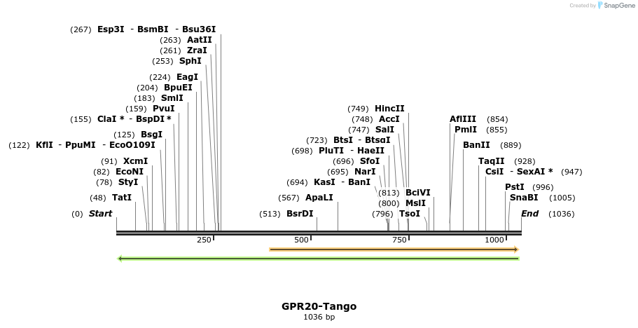 118210_map
