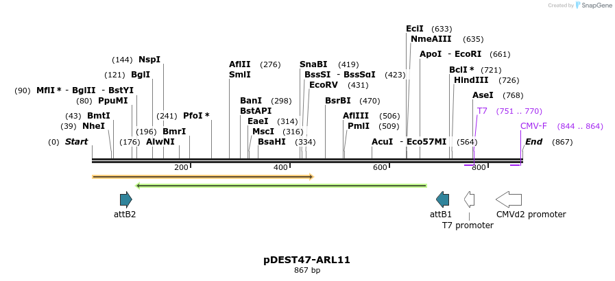 118211_map