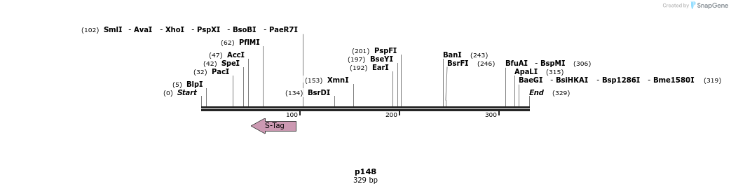 118212_map