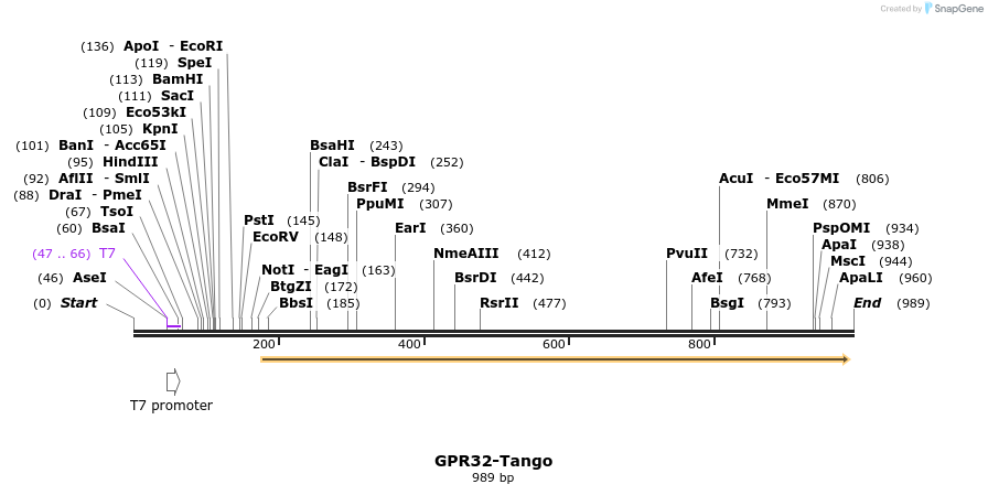118214_map