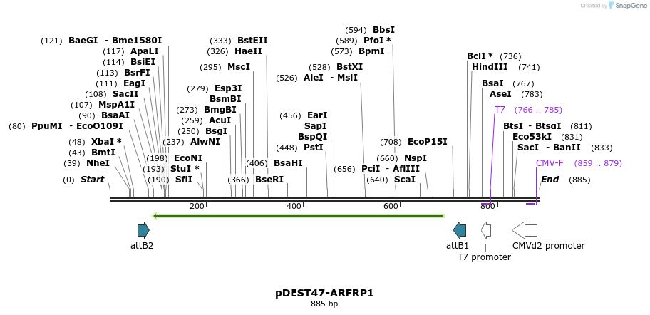 118216_map