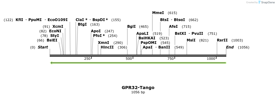 118218_map