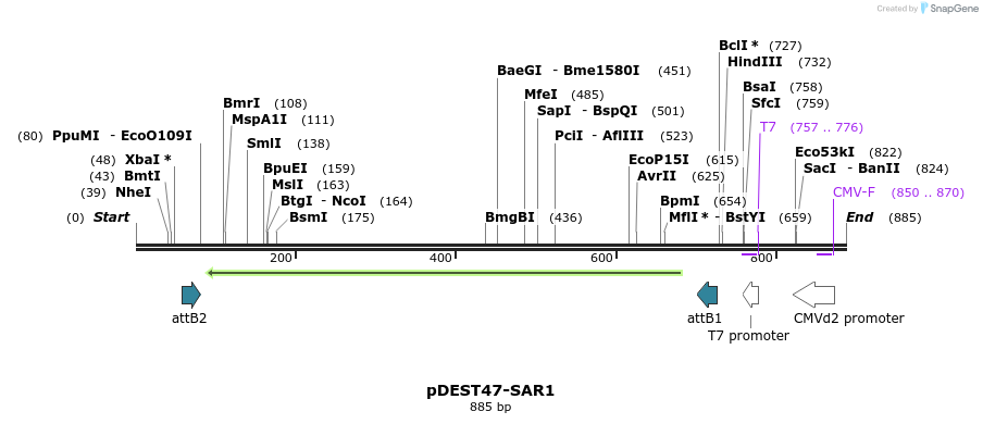118219_map